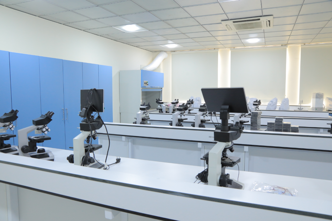 Lab No.1