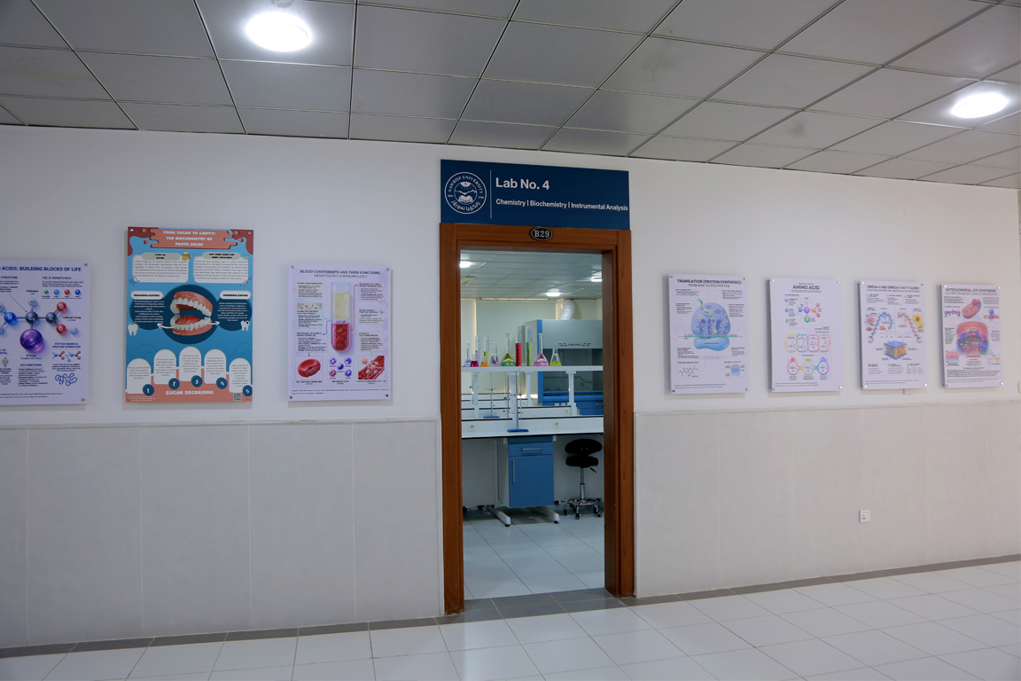 Lab No.4