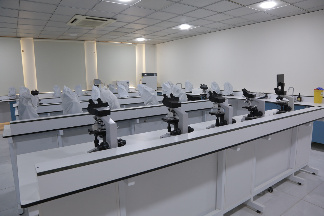 Lab No.3