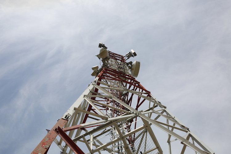 Scientific Visit by Computer Science Department Students