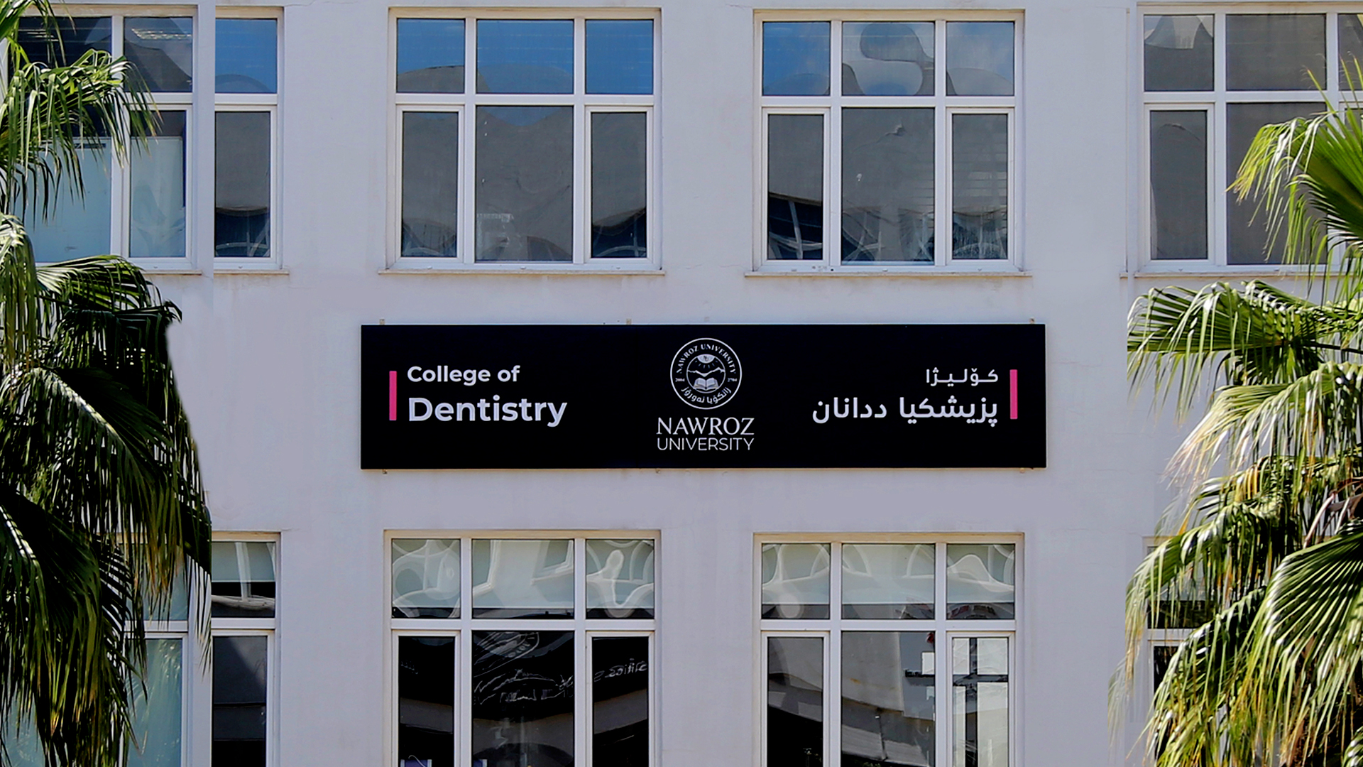 دیدگا - کۆلێژا پزیشکیا ددانان